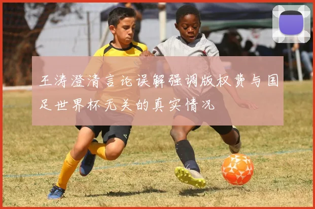 王涛澄清言论误解强调版权费与国足世界杯无关的真实情况